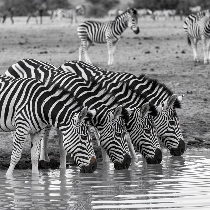 Lake Mburo National Park